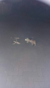 1230%e4%b8%8d%e5%8b%95%e7%94%a3%e6%8a%95%e8%b3%87%e3%81%a7%e5%a4%b1%e6%95%97%e3%81%99%e3%82%8b%e4%ba%ba%e3%80%85%e3%80%80%e5%b9%b4%e5%a7%8b%e3%81%ab%e5%ae%9f%e6%96%bd%e3%81%99%e3%82%8b%e4%bc%81